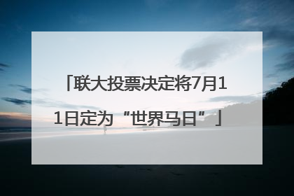 联大投票决定将7月11日定为“世界马日”